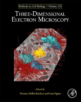 Muller-Reichert / Pigino |  Three-Dimensional Electron Microscopy | Buch |  Sack Fachmedien