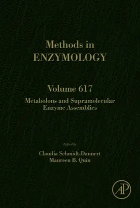 Schmidt-Dannert / Quin |  Metabolons and Supramolecular Enzyme Assemblies | eBook | Sack Fachmedien