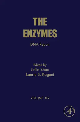Zhao |  DNA Repair | eBook | Sack Fachmedien