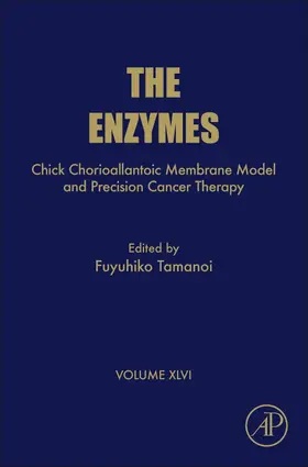 Tamanoi |  Chick Chorioallantoic Membrane Model and Precision Cancer Therapy | Buch |  Sack Fachmedien