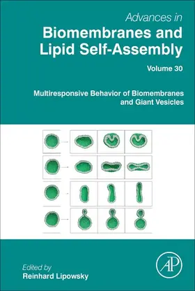 Lipowsky |  Multiresponsive Behavior of Biomembranes and Giant Vesicles | eBook | Sack Fachmedien