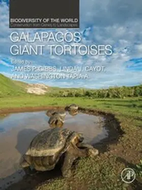  Galapagos Giant Tortoises | eBook | Sack Fachmedien