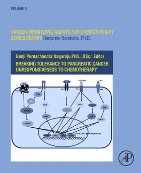 Bonavida |  Breaking Tolerance to Pancreatic Cancer Unresponsiveness to Chemotherapy | eBook | Sack Fachmedien
