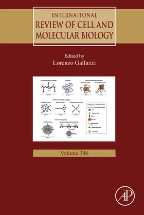 Galluzzi |  International Review of Cell and Molecular Biology | eBook | Sack Fachmedien