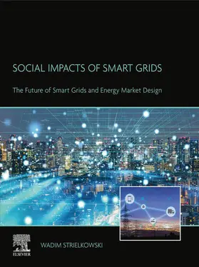 Strielkowski |  Social Impacts of Smart Grids | eBook | Sack Fachmedien