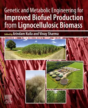 Kuila / Sharma | Genetic and Metabolic Engineering for Improved Biofuel Production from Lignocellulosic Biomass | E-Book | sack.de