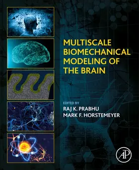 Horstemeyer / Prabhu |  Multiscale Biomechanical Modeling of the Brain | Buch |  Sack Fachmedien