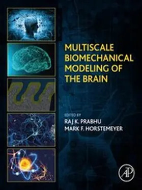 Horstemeyer / Prabhu |  Multiscale Biomechanical Modeling of the Brain | eBook | Sack Fachmedien