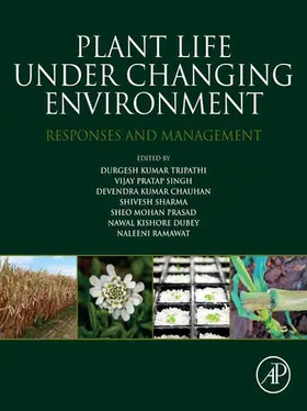 Tripathi D. Phil. / Singh / Chauhan |  Plant Life under Changing Environment | eBook | Sack Fachmedien