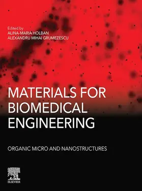 Grumezescu / Holban | Materials for Biomedical Engineering: Organic Micro and Nanostructures | E-Book | sack.de