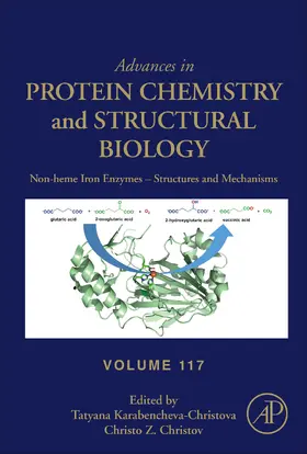 Karabencheva-Christova / Christov |  Non-heme Iron Enzymes: Structures and Mechanisms | eBook | Sack Fachmedien