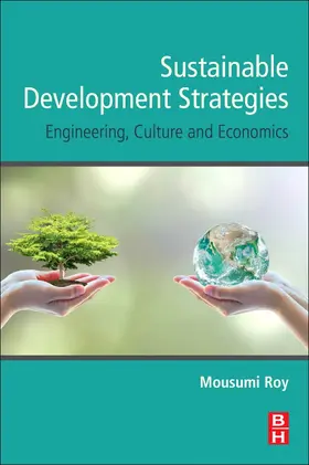 Feige / Roy |  Sustainable Development Strategies | Buch |  Sack Fachmedien