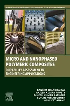 Ray / Prusty / Rathore |  Micro and Nanophased Polymeric Composites | eBook | Sack Fachmedien