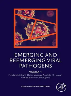 Ennaji | Emerging and Reemerging Viral Pathogens | E-Book | www2.sack.de