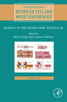 International Review of Cell and Molecular Biology | Buch | 978-0-12-819744-8 | sack.de