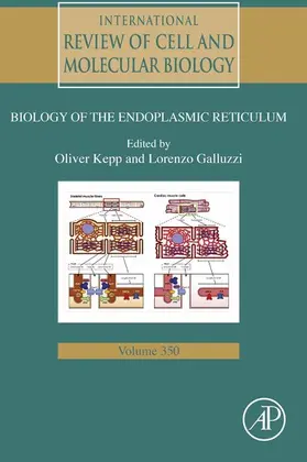 Galluzzi |  International Review of Cell and Molecular Biology | eBook | Sack Fachmedien