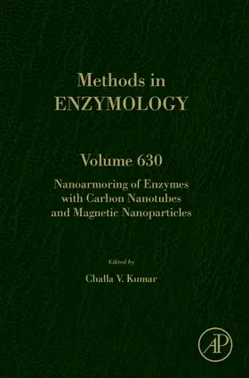  Nanoarchitectures Built with Carbon Nanotubes and Magnetic Nanoparticles | Buch |  Sack Fachmedien