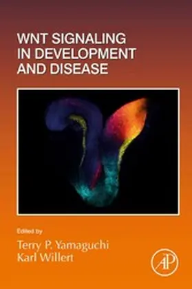 Willert |  Wnt Signaling in Development and Disease | eBook | Sack Fachmedien