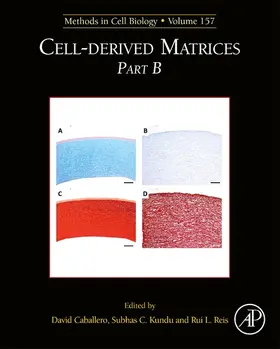 Caballero |  Cell-Derived Matrices Part B | eBook | Sack Fachmedien