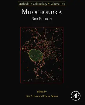  Mitochondria Biology | eBook | Sack Fachmedien