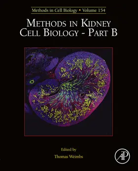 Weimbs |  Methods in Kidney Cell Biology Part B | eBook | Sack Fachmedien
