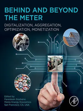 Sioshansi | Behind and Beyond the Meter | E-Book | www2.sack.de
