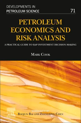  Petroleum Economics and Risk Analysis | Buch |  Sack Fachmedien