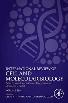Galluzzi |  Actin Cytoskeleton in Cancer Progression and Metastasis - Part B | eBook | Sack Fachmedien