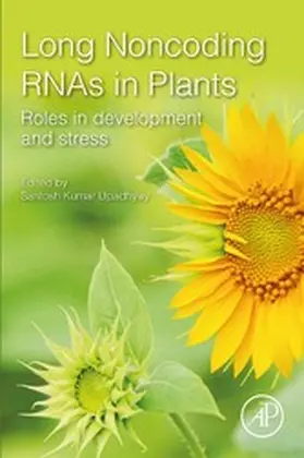 Upadhyay | Long Noncoding RNAs in Plants | E-Book | sack.de