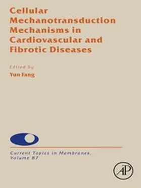 Fang |  Cellular Mechanotransduction Mechanisms in Cardiovascular and Fibrotic Diseases | eBook | Sack Fachmedien