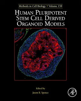Human Pluripotent Stem Cell Derived Organoid Models | Buch | 978-0-12-821531-9 | www2.sack.de
