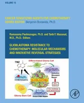 Paulmurugan |  Glioblastoma Resistance to Chemotherapy: Molecular Mechanisms and Innovative Reversal Strategies | eBook | Sack Fachmedien