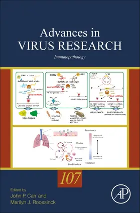 Immunopathology | Buch |  Sack Fachmedien