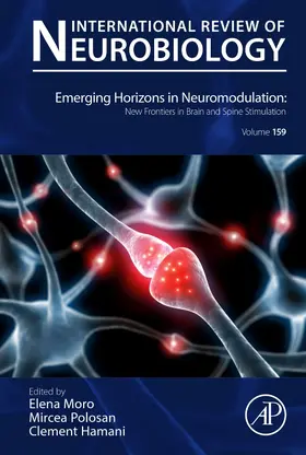  Emerging Horizons in Neuromodulation: New Frontiers in Brain and Spine Stimulation | Buch |  Sack Fachmedien