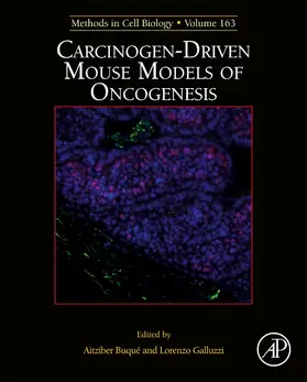 Carcinogen-Driven Mouse Models of Oncogenesis | Buch | 978-0-12-822534-9 | sack.de