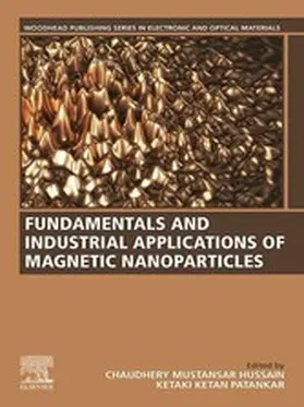 Patankar / Mustansar Hussain |  Fundamentals and Industrial Applications of Magnetic Nanoparticles | eBook | Sack Fachmedien