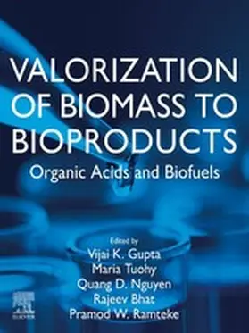 Gupta / Tuohy / Nguyen | Valorization of Biomass to Bioproducts | E-Book | sack.de