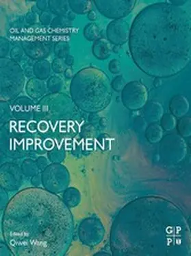 Wang | Recovery Improvement | E-Book | sack.de