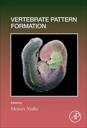Vertebrate Pattern Formation | Buch | 978-0-12-823461-7 | www2.sack.de