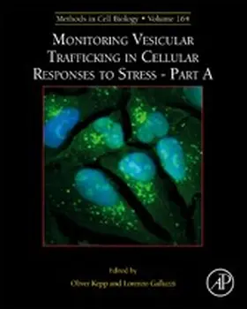 Kepp / Galluzzi |  Monitoring Vesicular Trafficking in Cellular Responses to Stress | eBook | Sack Fachmedien