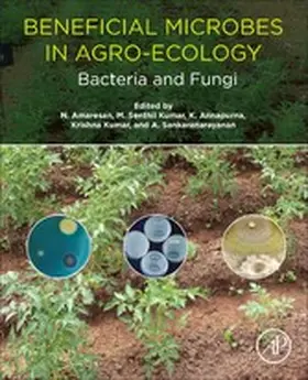 Amaresan / Senthil Kumar / Annapurna |  Beneficial Microbes in Agro-Ecology | eBook | Sack Fachmedien