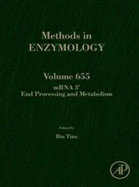 Tian |  mRNA 3' End Processing and Metabolism | eBook | Sack Fachmedien