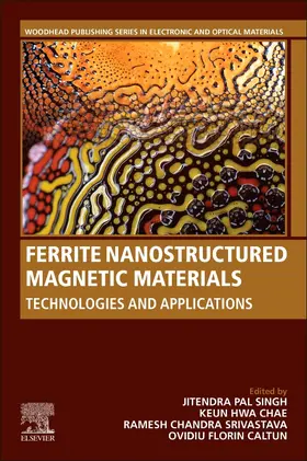 Pal Singh / Chae / Srivastava |  Ferrite Nanostructured Magnetic Materials | Buch |  Sack Fachmedien