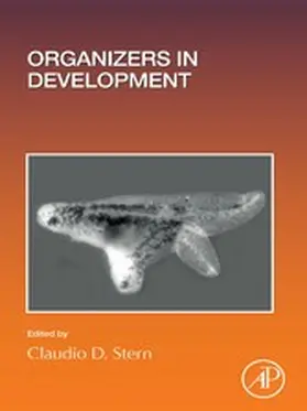 Stern |  Organizers in Development | eBook | Sack Fachmedien