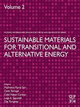 Sari / Temizel / Canbaz |  Sustainable Materials for Transitional and Alternative Energy | eBook | Sack Fachmedien