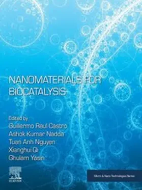 Castro / Nadda / Nguyen |  Nanomaterials for Biocatalysis | eBook | Sack Fachmedien