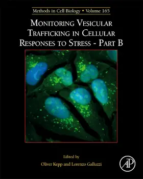  Monitoring Vesicular Trafficking in Cellular Responses to Stress - Part B | Buch |  Sack Fachmedien