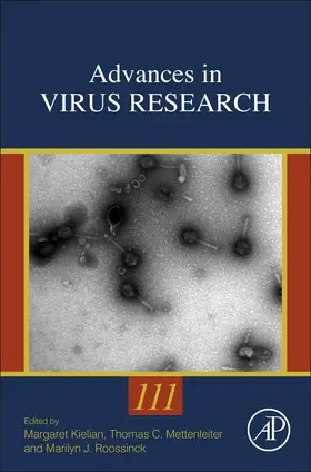 Mettenleiter / Kielian / Roossinck | Advances in Virus Research | Buch | 978-0-12-824605-4 | sack.de