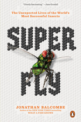 Balcombe |  Super Fly | Buch |  Sack Fachmedien