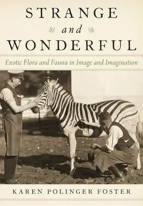Foster |  Strange and Wonderful | Buch |  Sack Fachmedien
